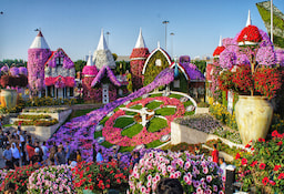 Miracle Garden - O