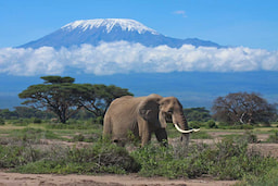 Mount Kenya 5