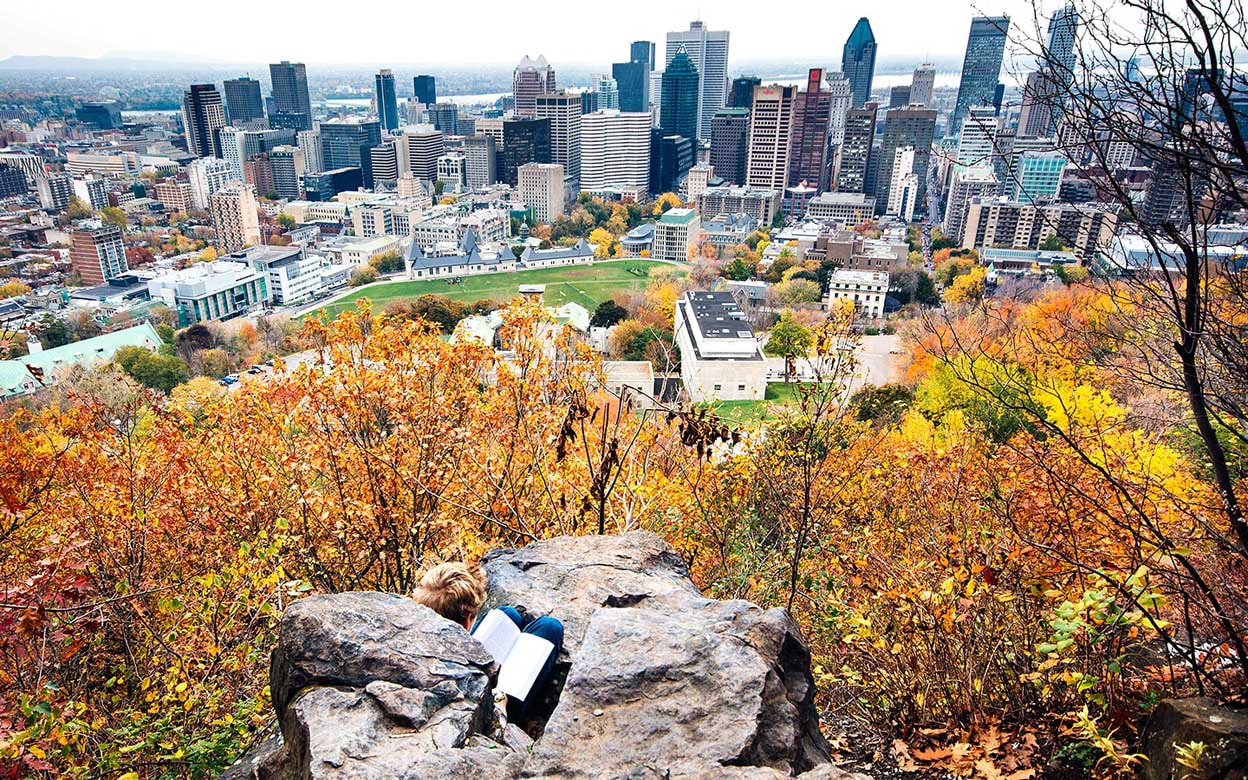 Mount Royal 2