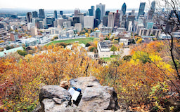 Mount Royal 2