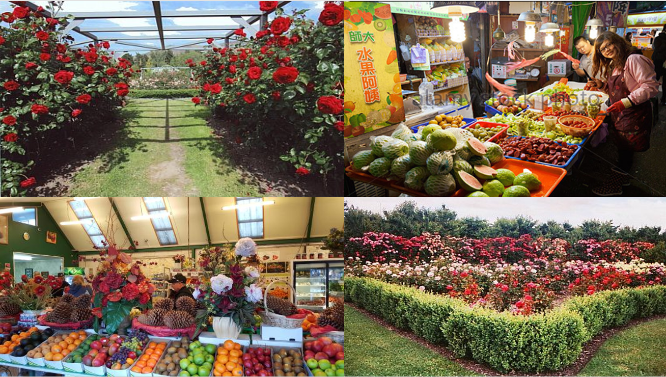 Mrs. Jones Family fruit Stall - 1