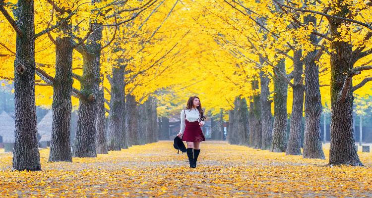 Nami Island