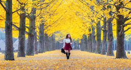 Nami Island