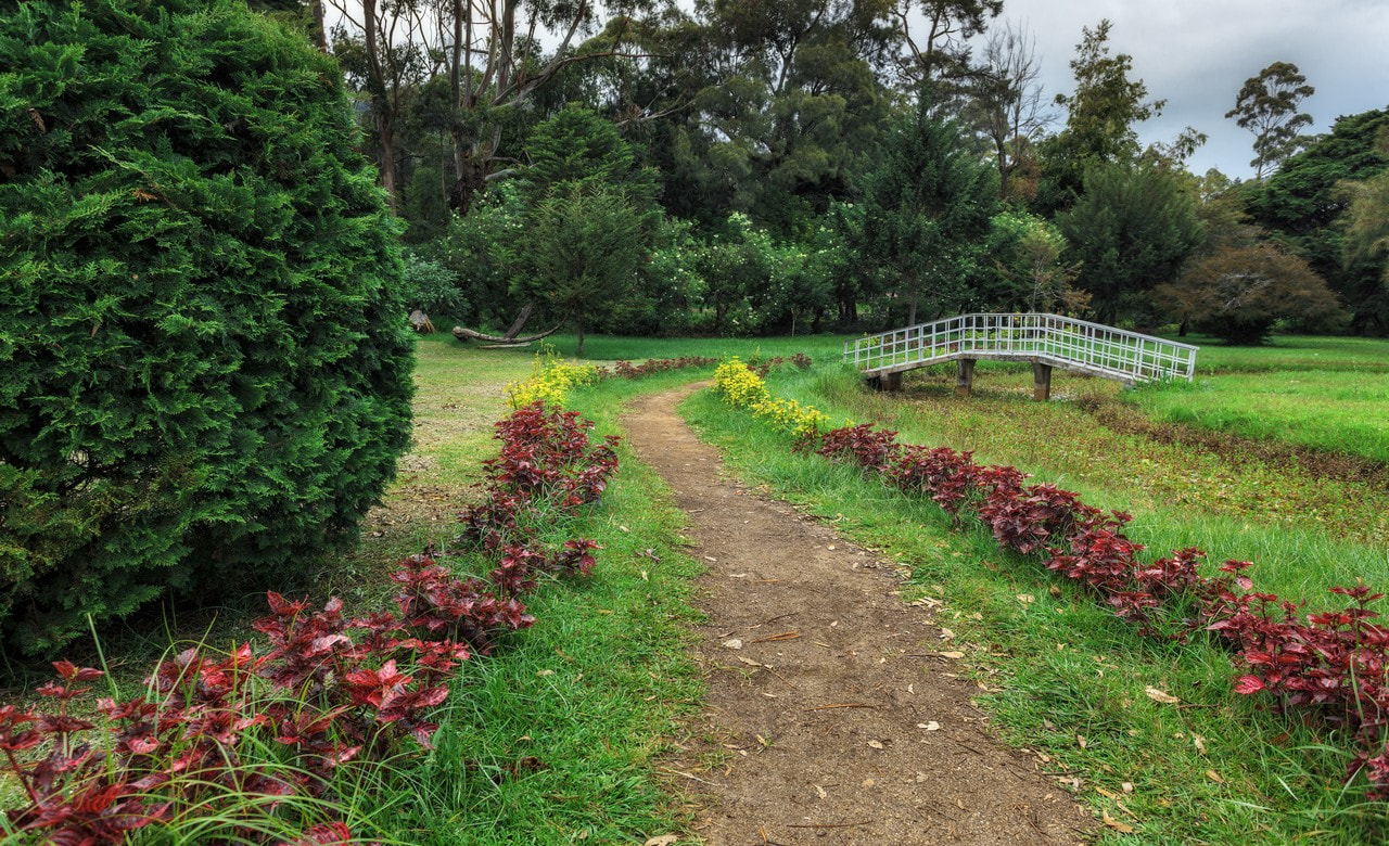 PARK 1