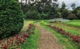 PARK 1