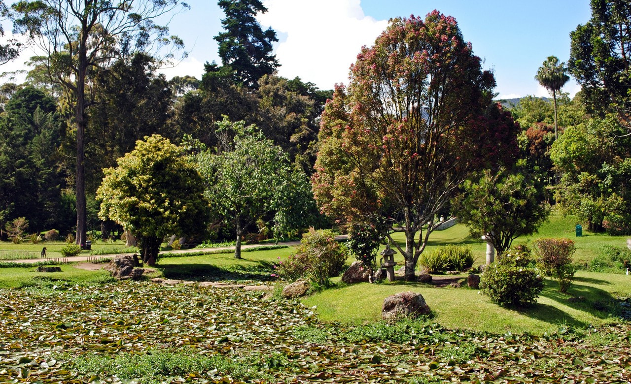 PARK 2