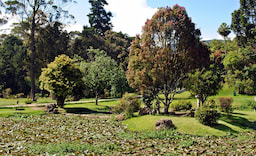 PARK 2