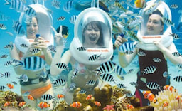 Paket-murah-seawalker-Bali