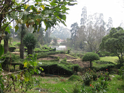 Park 1