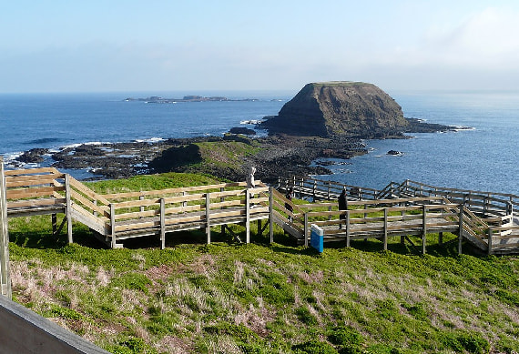 Phillip Island 