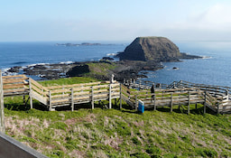 Phillip Island 