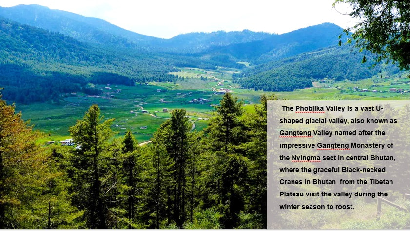 Phobjikha Valley