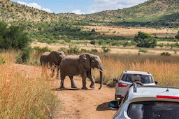 Pilanesberg National Park