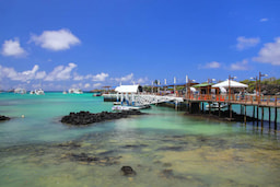 Puerto Ayora