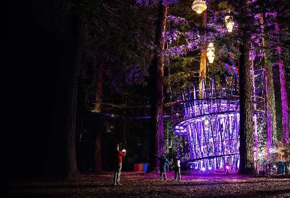 Redwoods Nightlight- 0