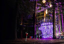 Redwoods Nightlight- 0