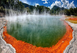 Rotorua - 0