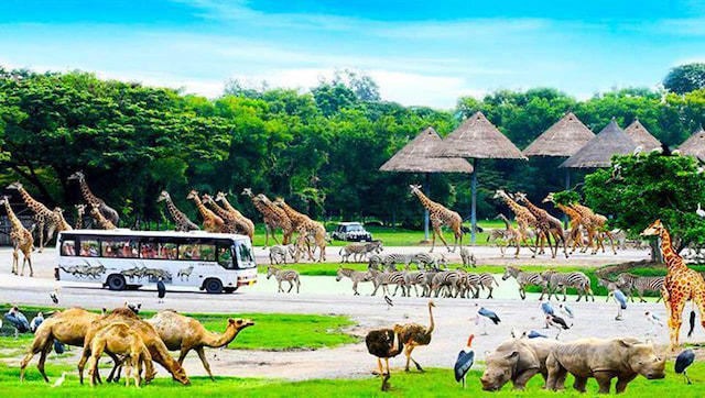 Safari World with Marine Park 5