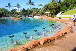 Seaworld 