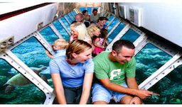 Semi Submarine 