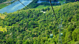 Skyrail Rainforest Cableway 