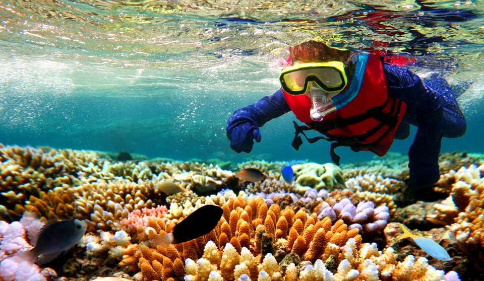 Snorkelling (Optional)
