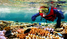 Snorkelling (Optional)