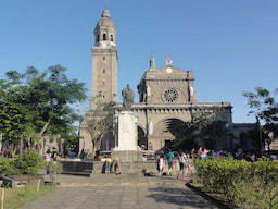 The Cathedral