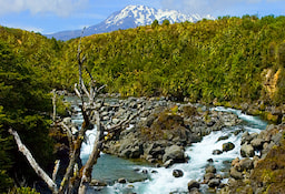 Tongariro National Park