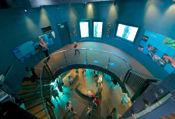 Underwater Observatory