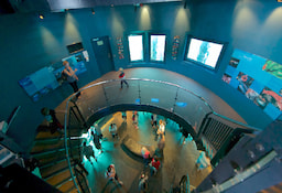 Underwater Observatory