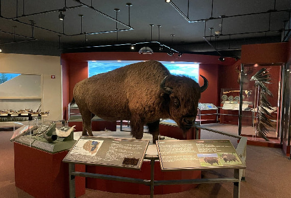 Wyoming State Museum