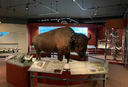Wyoming State Museum