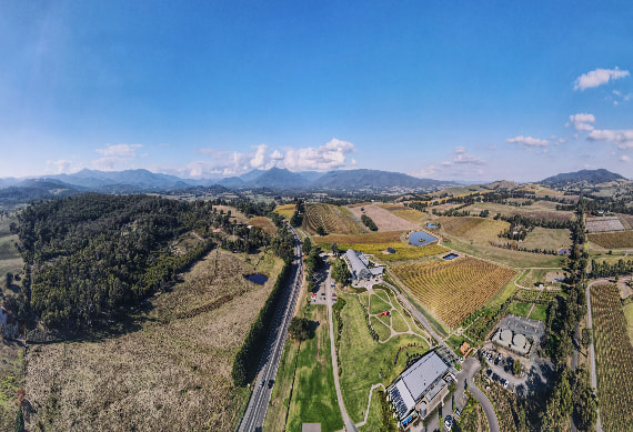 Yarra Valley