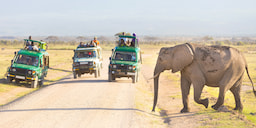 Amboseli national park