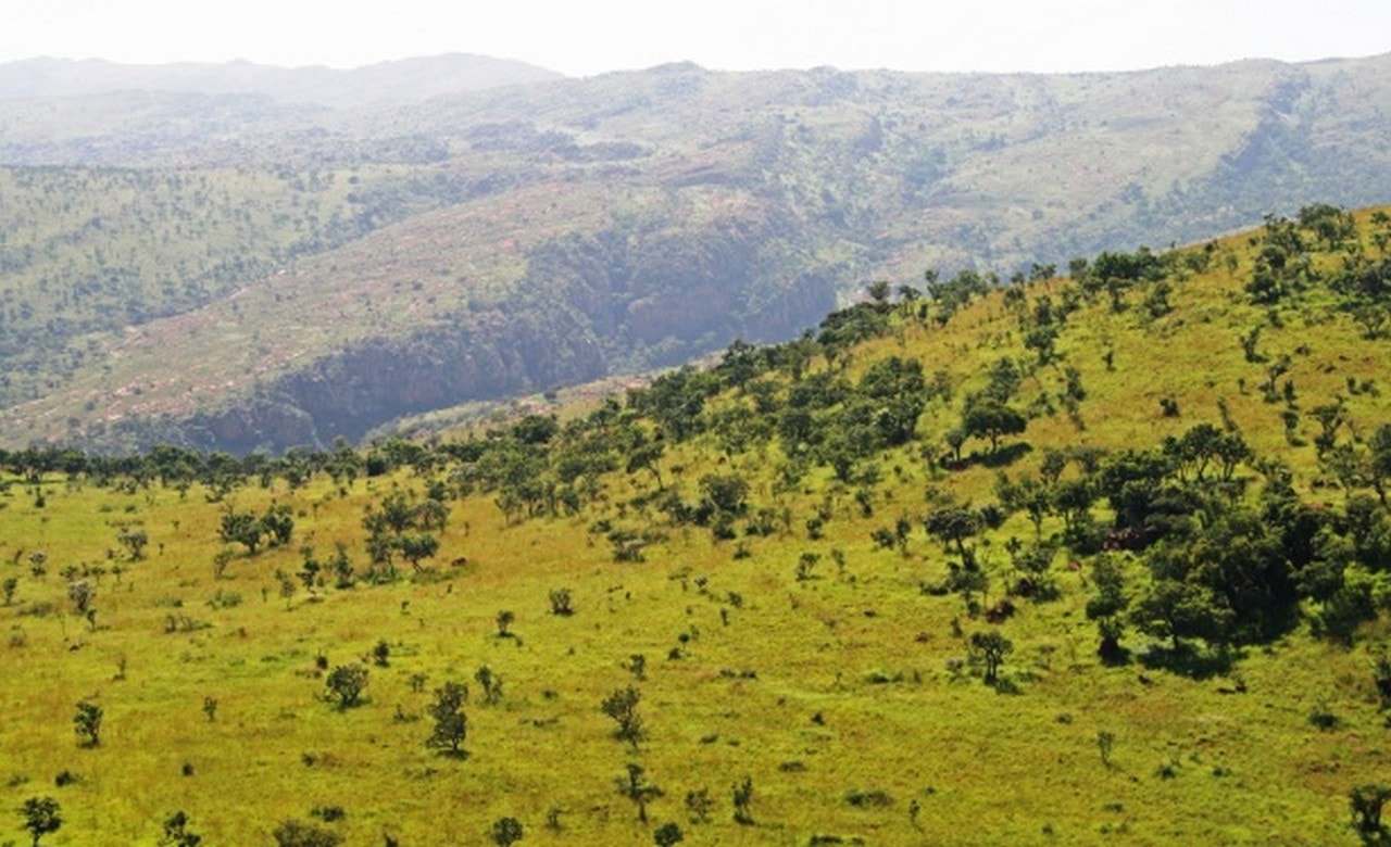 Monteverde