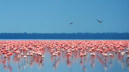 nakuru6
