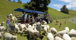 Agrodome - Farm Tour