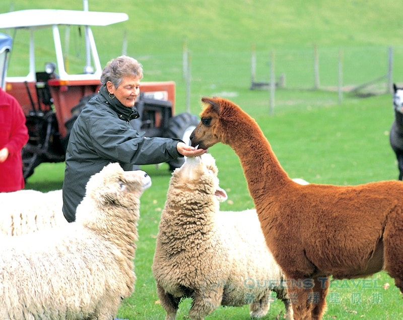 Agrodome Farm Tour