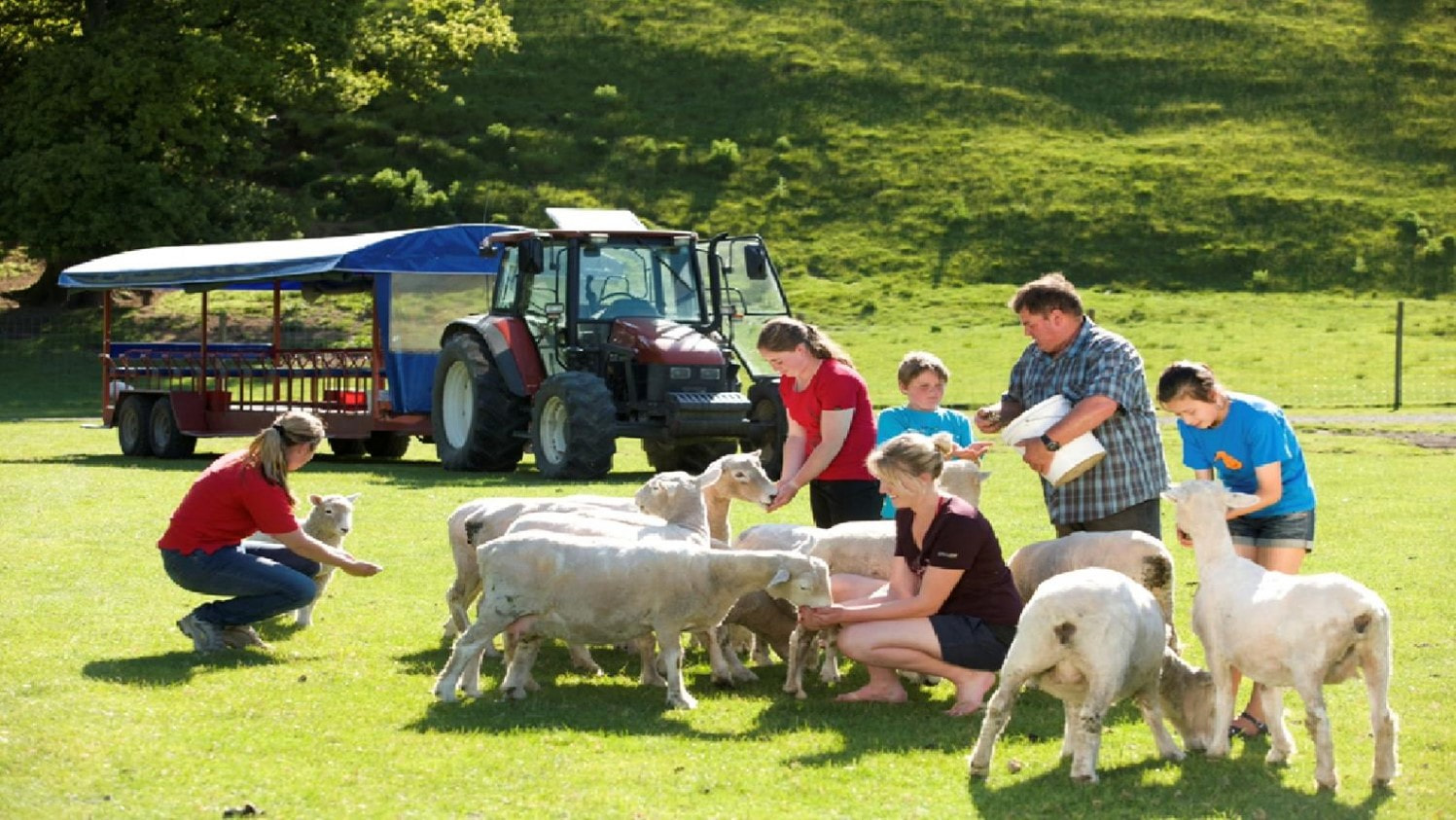 Agrodome Farm Tour