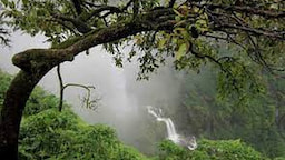 alibag