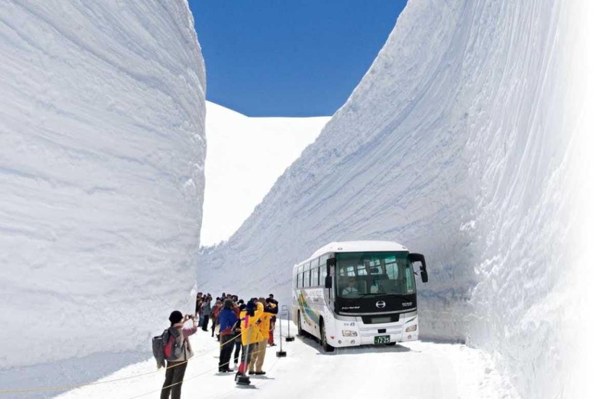aline route