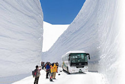 aline route