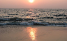 backwaters_in_alleppey