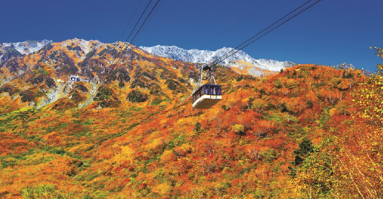 Alpine Tour