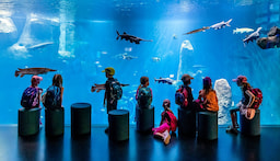 Aquatis Bassin Evolution