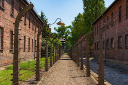 Auschwitz 4