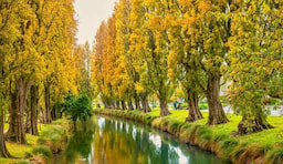 River Avon