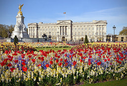 Buckingham palace