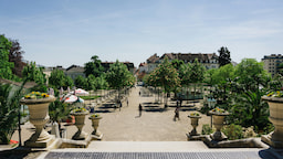 Baden Baden 1
